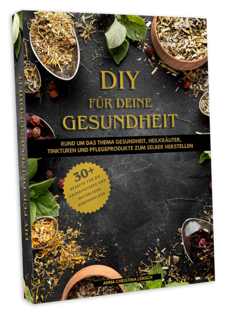 Buch - DIY für deine Gesundheit